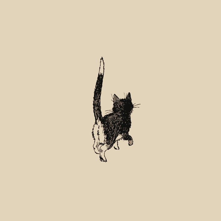 a black and white cat jumping up into the air