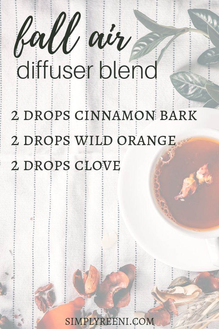 fall air diffuser blend recipe Insect Repellent Essential Oils, Live A Simple Life, Essential Oil Books, Fall Diffuser Blends, Oils Essential, Diy Essential Oil Recipes, Essential Oils For Kids, Essential Oil Diffuser Blends Recipes, Air Diffuser