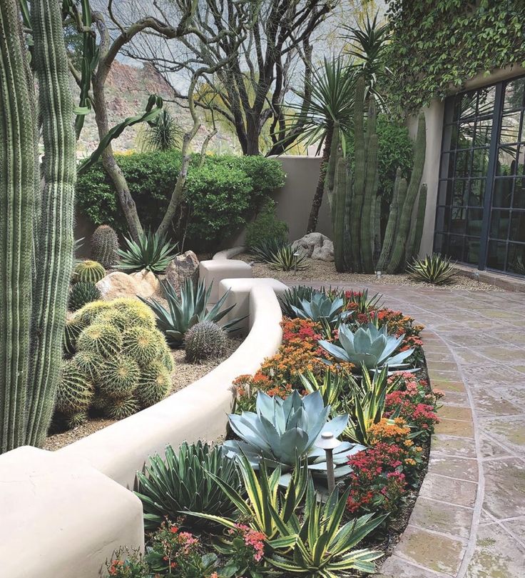 an outdoor garden with cactus and succulents in the center, surrounded by stone walkway