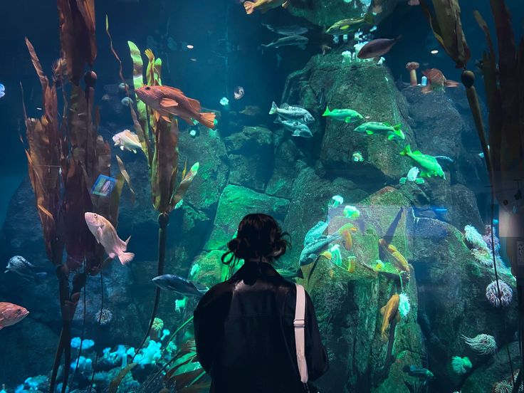 aquarium aesthetic, girl at aquarium, mermaid core, Welcome To My World, My World, Fish, Instagram Photos, On Instagram, Instagram