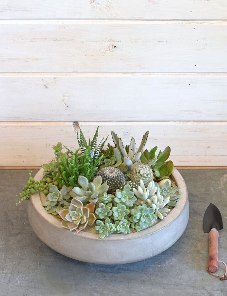 a planter filled with lots of succulents