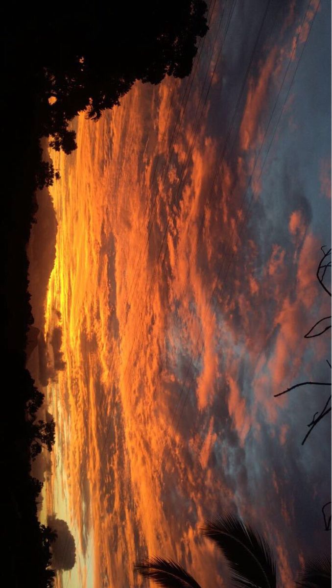 the sun is setting behind some clouds in the sky and trees are silhouetted against it