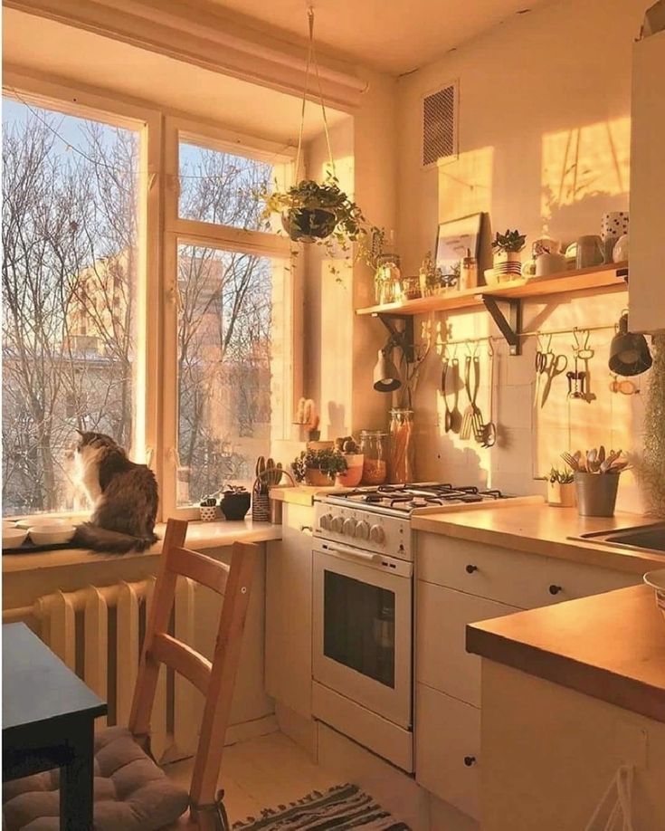 a cat sitting on top of a kitchen counter next to a stove top oven under a window