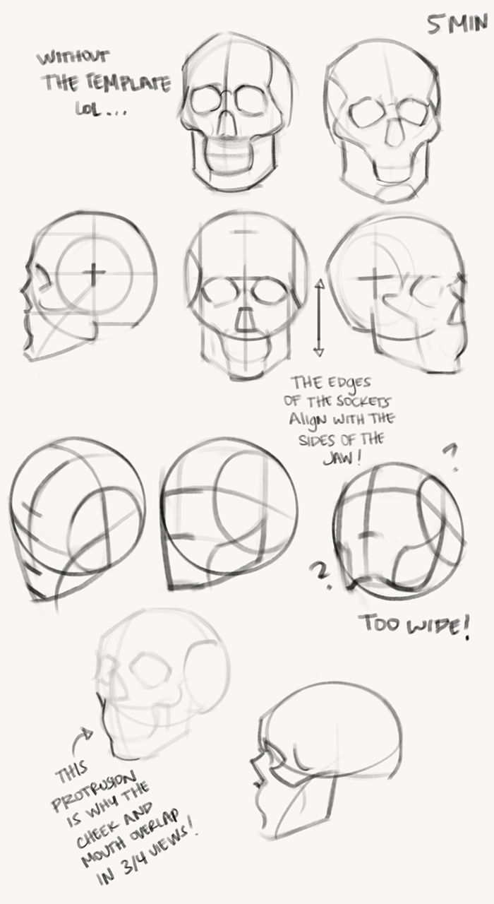 how to draw the human head with different angles and facial expressions for each part of the face