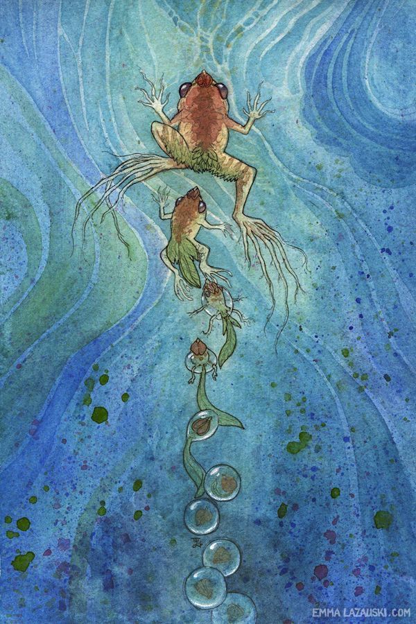 a painting of a frog sitting on top of a tree branch with bubbles in the water