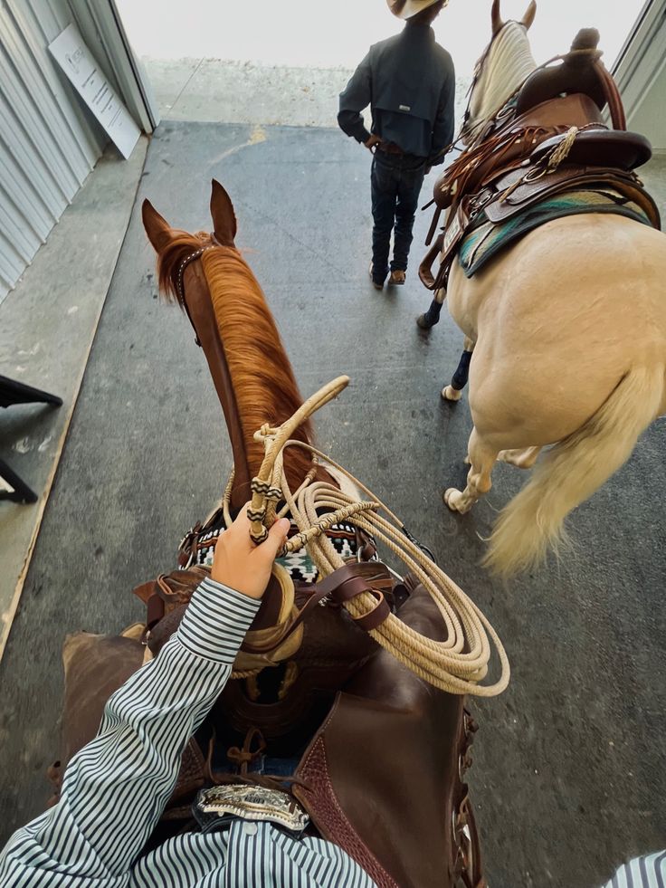 a person riding on the back of a brown horse next to a white and black horse