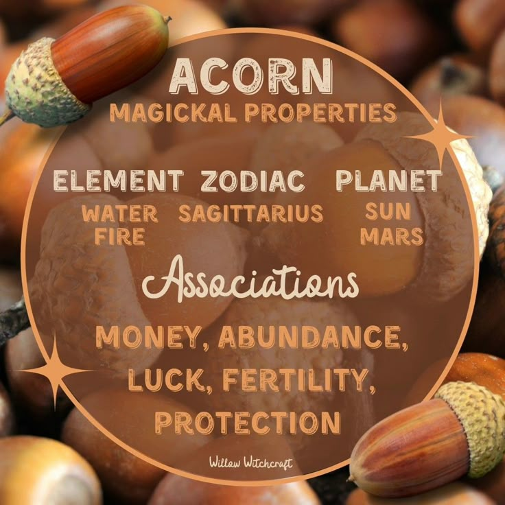 Acorn Spiritual Meaning, Acorn Witchcraft, Almond Witchcraft, Oats In Witchcraft, Hoodoo Ingredients, Acorn Magic, Spiritual Plants, Calm Essential Oil Blend, Witchy Plants