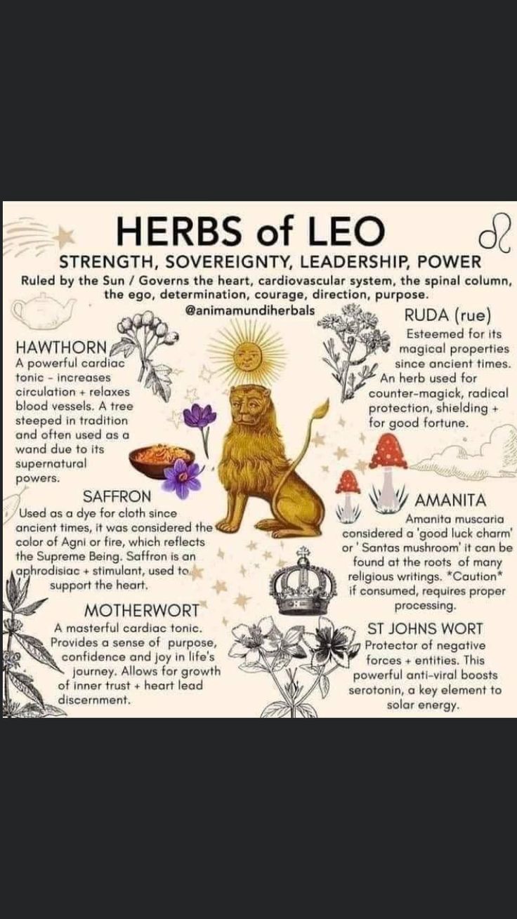 a poster with the words herbs of leo written in different languages and pictures on it