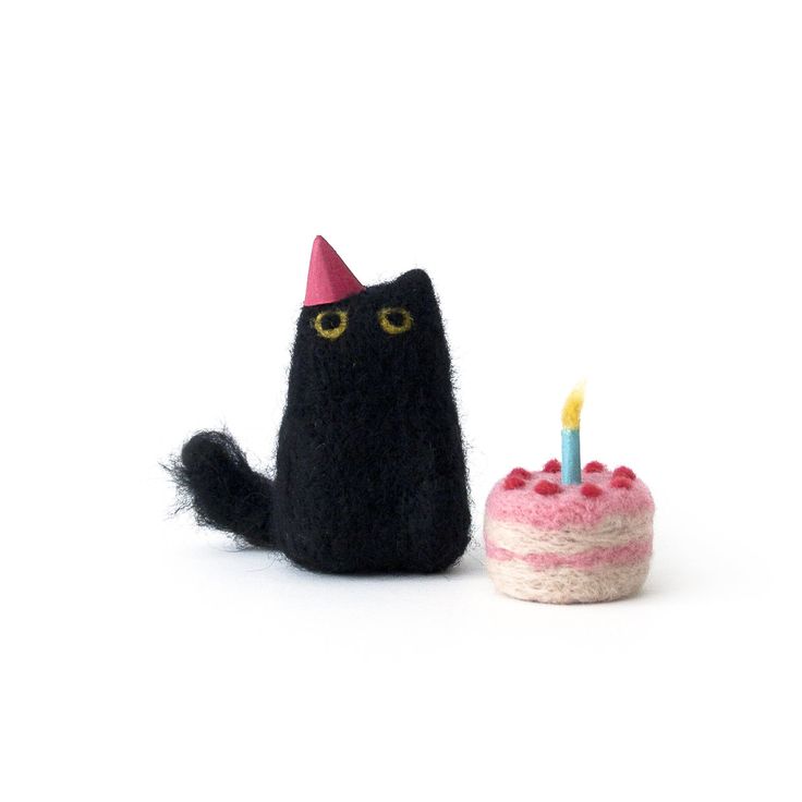 a black cat next to a birthday cake with a candle on it's top