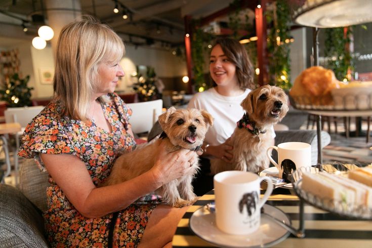 two women sitting at a table with three dogs in front of them and coffee mugs on the side