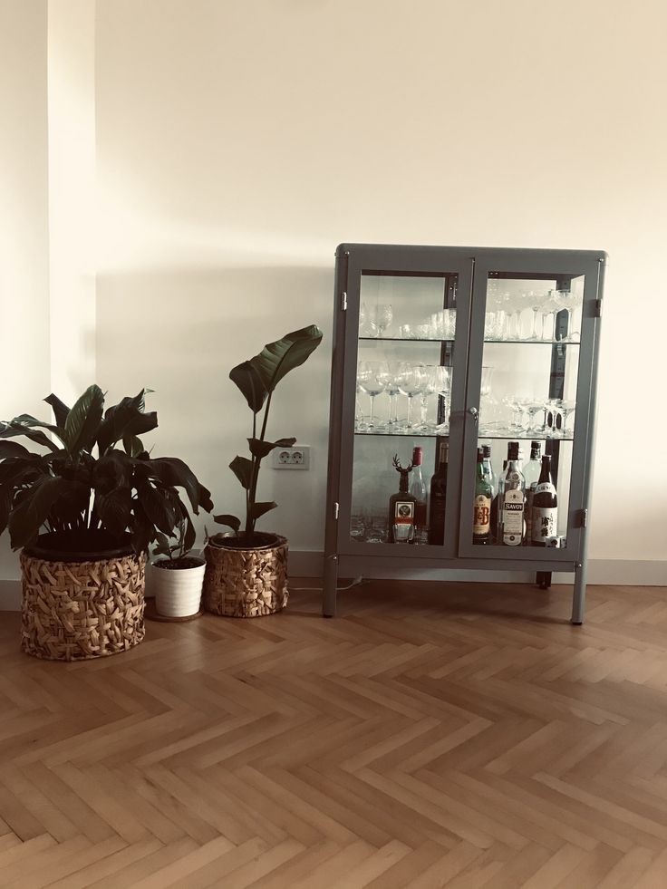 two potted plants sitting on top of a wooden floor next to a glass cabinet