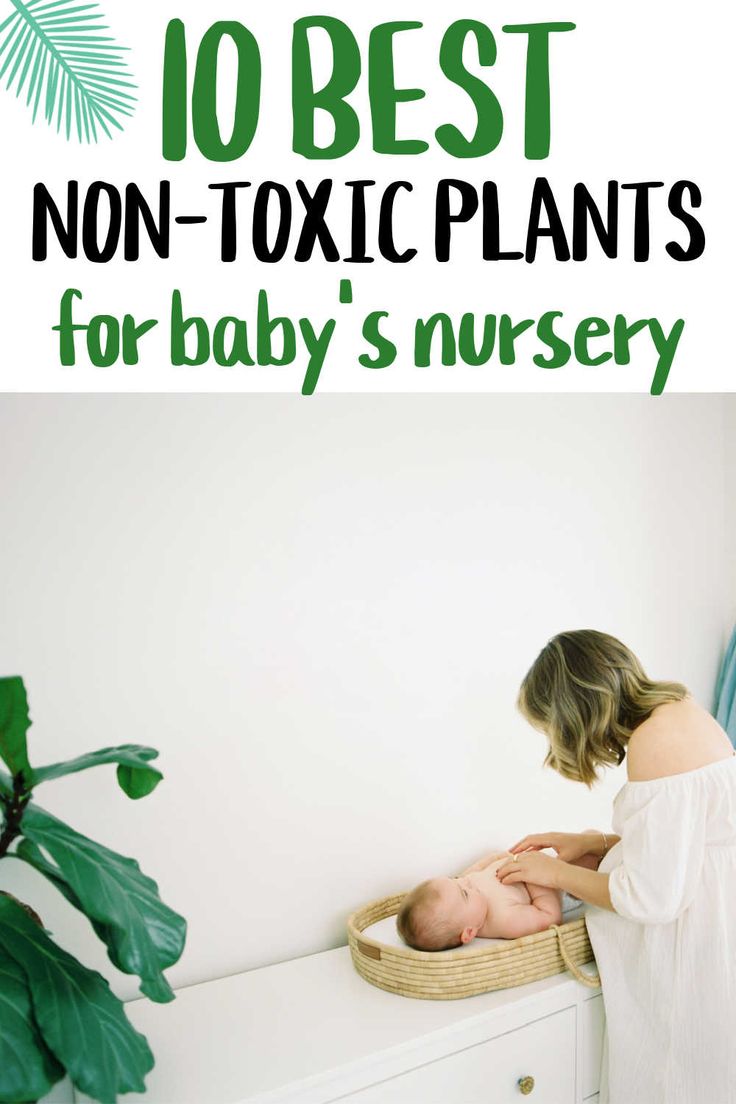 a woman holding her baby in a basket with text overlay that reads 10 best non - toxic plants for baby's nursery