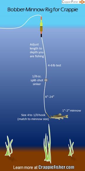 the diagram shows how to fish for crappie and what it looks like in the water