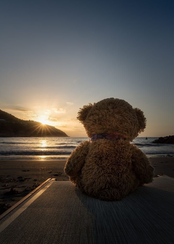 a brown teddy bear sitting on top of a wooden bench next to the ocean at sunset