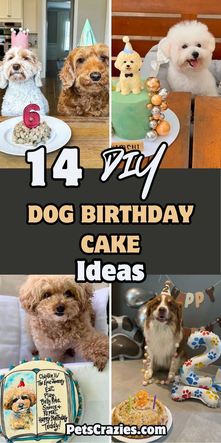 Image showcases four adorable DIY dog birthday cake ideas for celebrating your pup's special day. The text "14 DIY Dog Birthday Cake Ideas" is bold, set in playful fonts over images of dogs with various cakes. Styles include a cake with dog-shaped toppers, a peanut butter cake, and a customized cake featuring a portrait of the birthday pup. The theme is festive and fun, with dogs wearing birthday hats, highlighting creative cake ideas for dog owners. Dog Birthday Cake Ideas, Dog Birthday Cake Banana, Diy Dog Birthday Cake, Cake For Dogs Birthday Ideas, Dogs Birthday Ideas, Dogs First Birthday Ideas, Dog Birthday Photoshoot, Dog Friendly Cake, Puppy Birthday Cakes