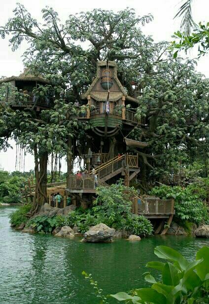 a tree house built into the side of a body of water