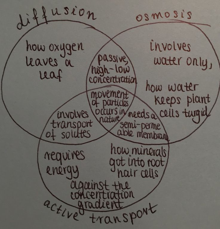 a venn diagram with words written on it