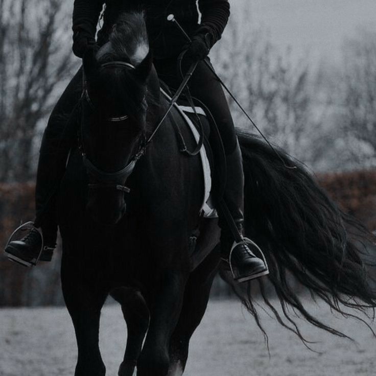 a man riding on the back of a black horse in snow covered field next to trees