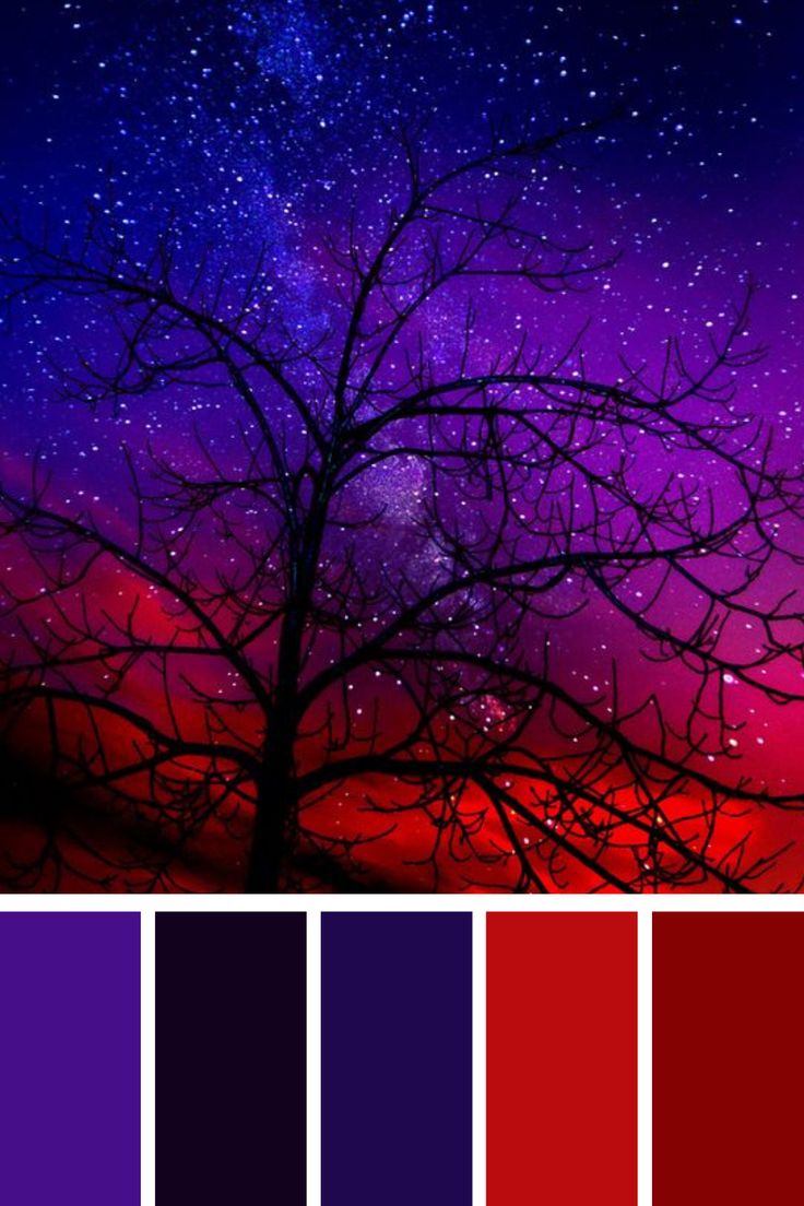 the night sky is filled with stars, and there are many colors to choose from