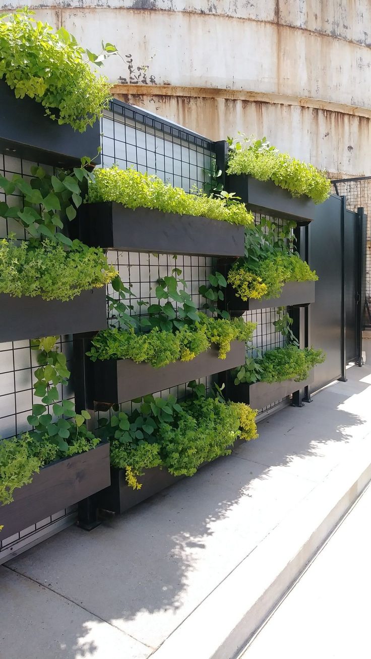 an outdoor planter filled with lots of green plants and growing on the side of a building