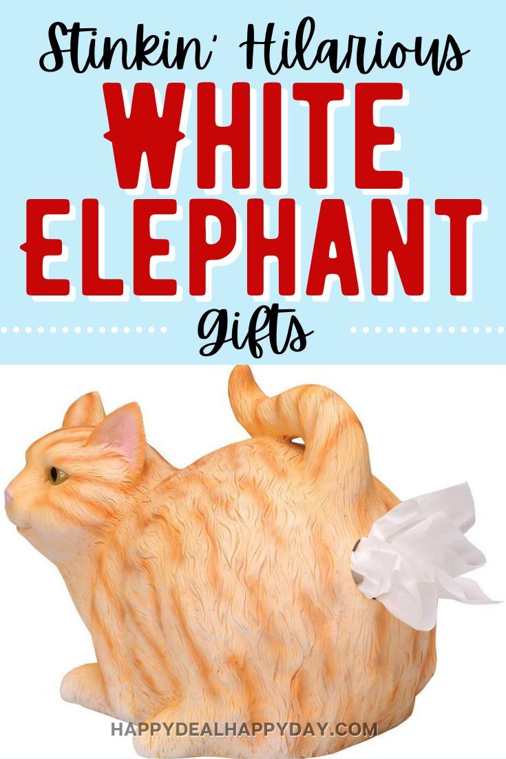 an orange and white cat with the words stinkin'hilarious white elephant gifts