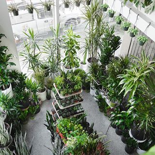 an indoor garden with many different types of plants