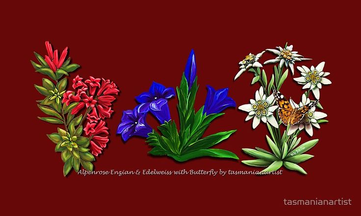 three different types of flowers on a red background