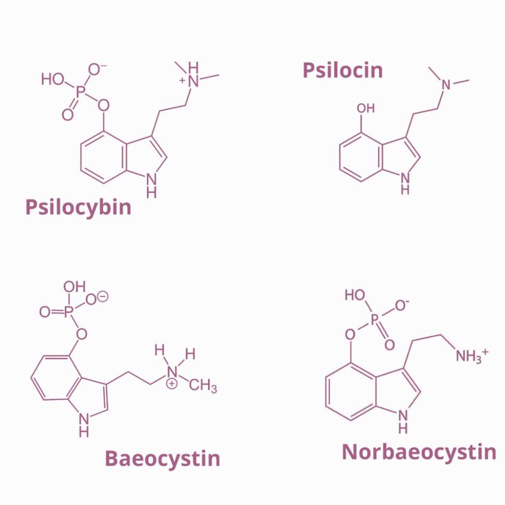 four different types of polycycin and bacocycin in the same set