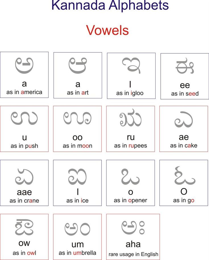 Kannada worksheet of vowels ! Kannada Letters Worksheets, Kannada Worksheets For Lkg, Kannada Alphabets Worksheet, Kannada Varnamala Worksheets, Kannada Varnamala Chart, Kannada Worksheets For Kids, Kannada Alphabets Chart, Kannada Letters, Kannada Calligraphy