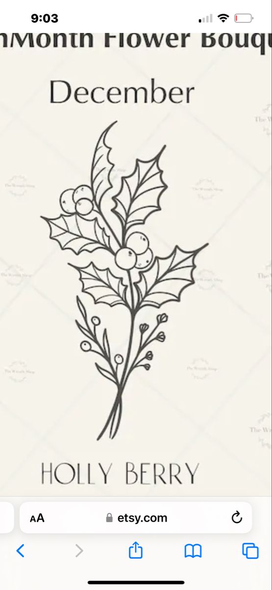 an iphone screen with the words holly berry on it and a drawing of a branch