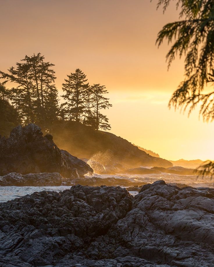 the sun is setting over some rocks on the beach with pine trees in the background