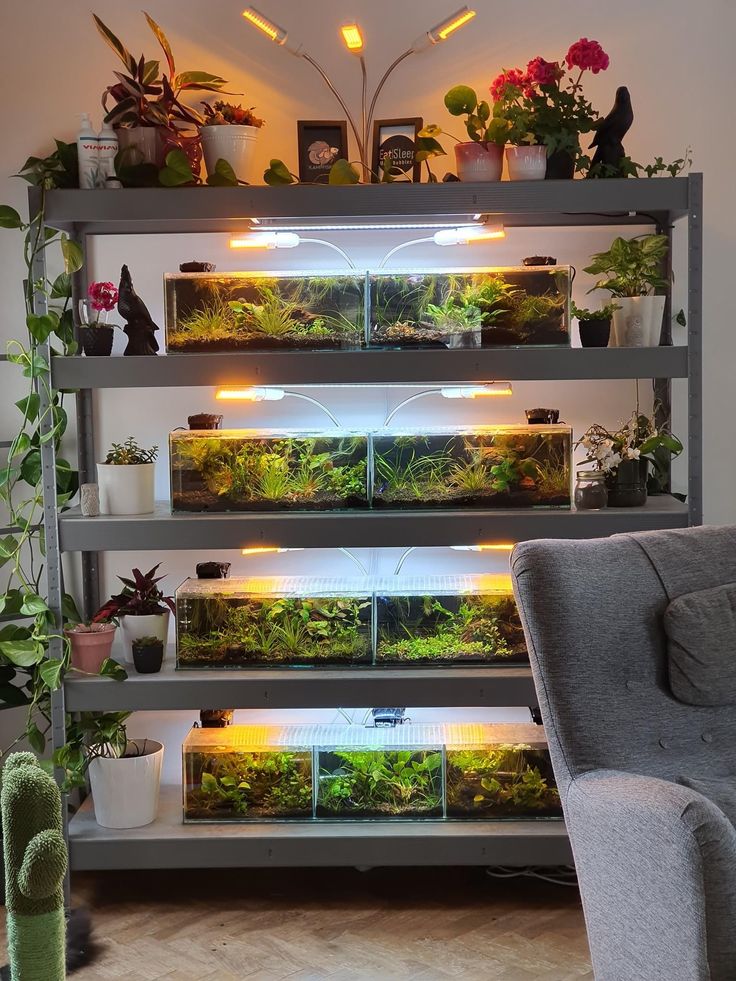 a room filled with lots of plants and potted plants on top of shelves next to a couch