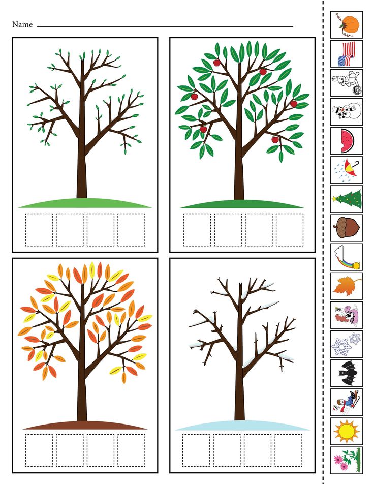 the printable tree worksheet for preschool