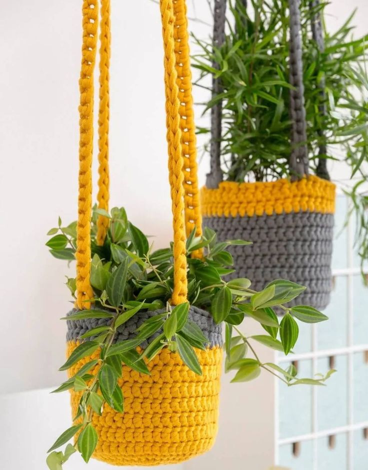 two hanging planters with plants in them