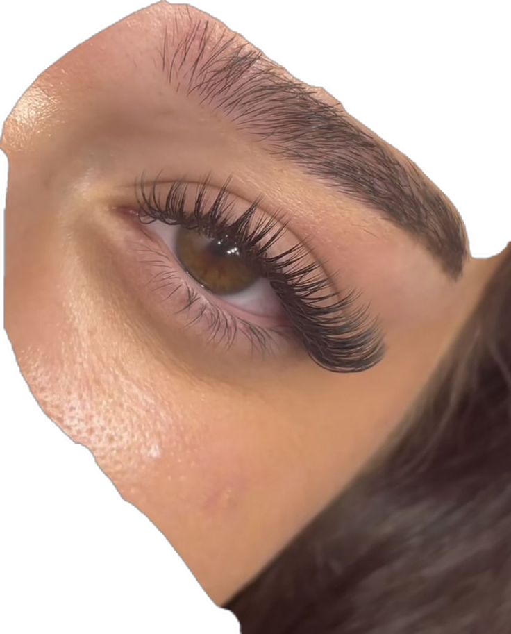 Wet Fox Eye Lash Extensions, Lash Extension Fox Eye, Lashes Inspo Hybrid, Light Volume Wispy Cat Eye, Wispy Lash Extensions Styles, Eyelash Inspo Hybrid, Wet Set Lash Extensions, Holiday Lashes, Light Hybrid Lashes Cat Eye