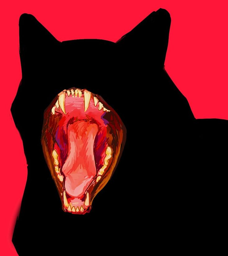 a black cat with its mouth open and it's teeth wide open, on a red background