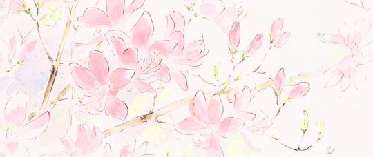 a drawing of pink flowers on a white background