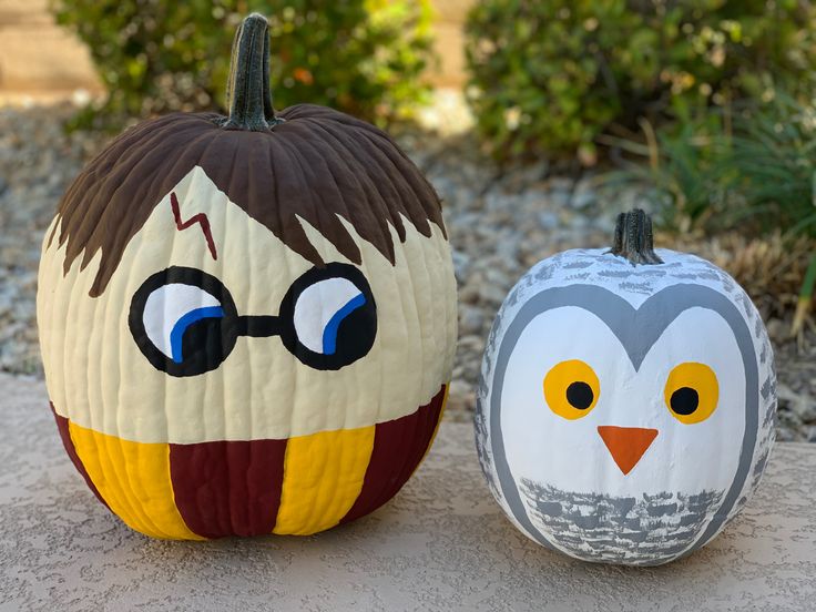 Halloween Painted Pumpkins- Harry Potter & Hedwig Hedwig Pumpkin, Harry Potter Pumpkin Carving, Animal Pumpkin, Cute Painted Pumpkin Ideas, Book Character Pumpkins, Harry Potter Pumpkin, Pumpkin Painting Party, Halloween Pumpkin Crafts, Creative Pumpkin Painting