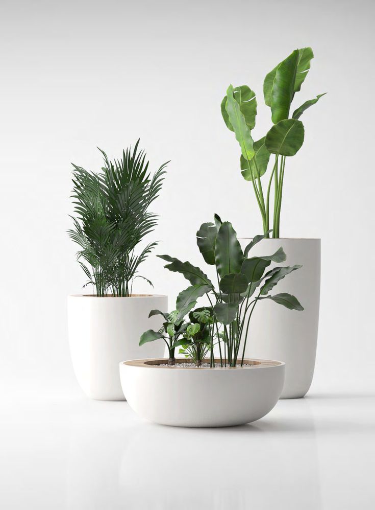 three white planters with plants in them