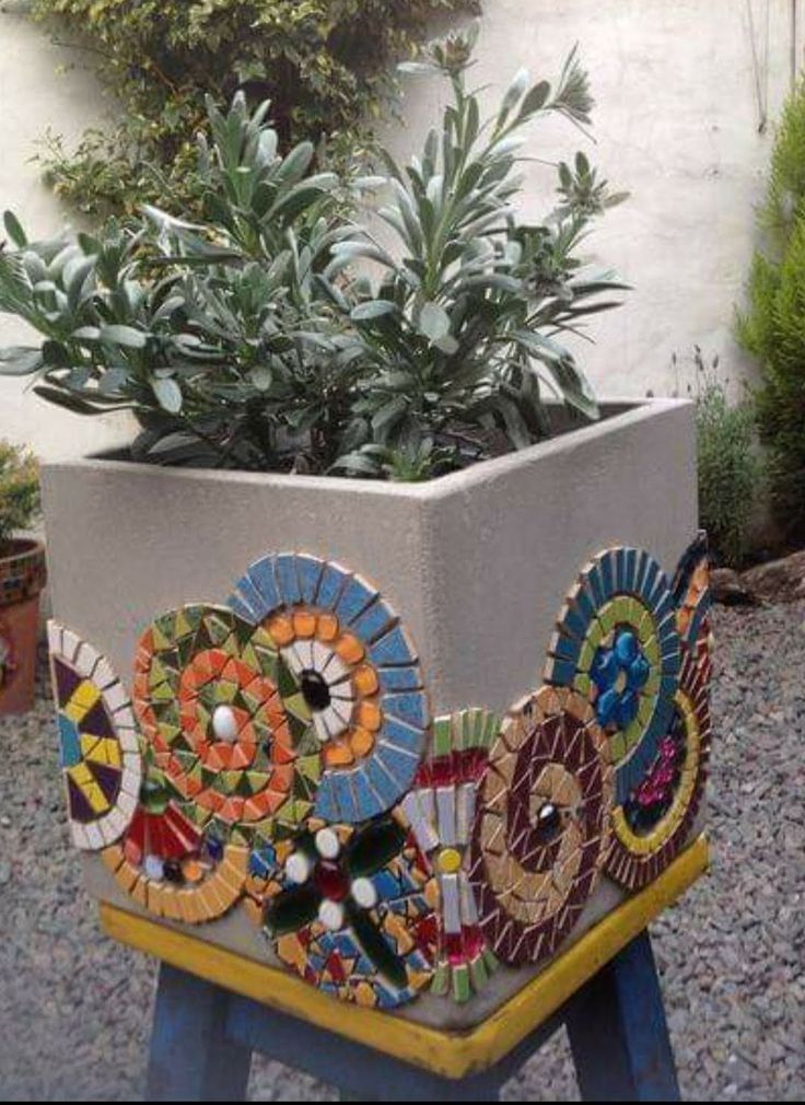 a potted plant sitting on top of a wooden stand in front of a building