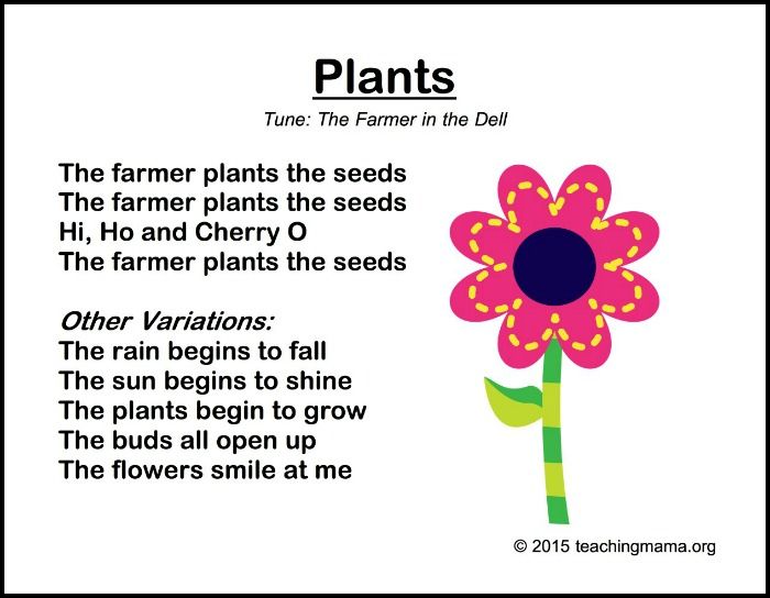 a pink flower with the words plants on it and an image of a plant that is in