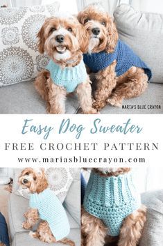 two dogs wearing sweaters sitting on a couch with the text easy dog sweater free crochet pattern