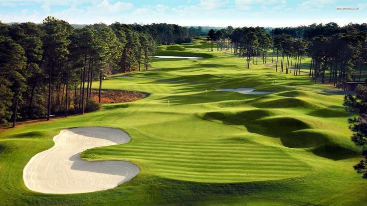 a golf course with the words gorle golf links on it and trees in the background