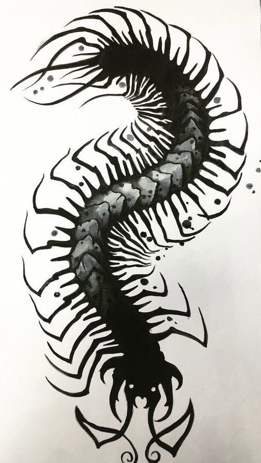 a black and white drawing of a scorpion