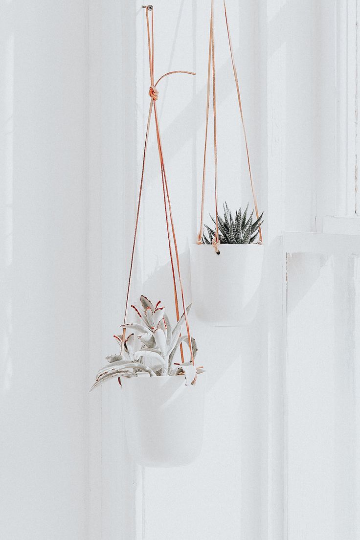 two hanging planters with succulents in them on a white wall next to a window