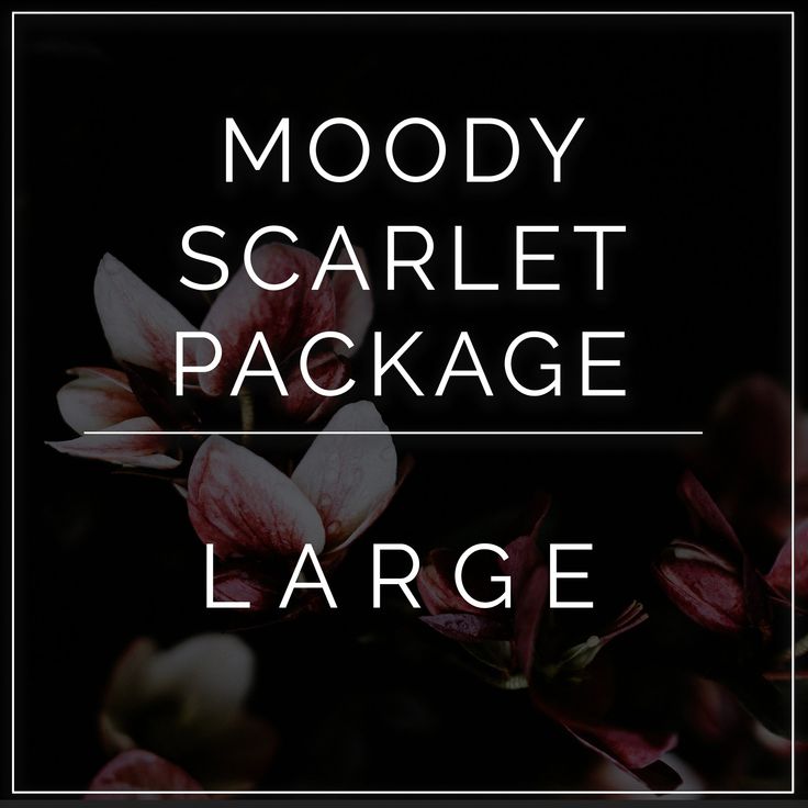 Moody Scarlet diy wedding flower package Leatherleaf Fern, Black Magic Roses, Moody Wedding Flowers, Dark And Moody Wedding, Dark Red Wedding, Year Round Flowers, Flower Moxie, Heart Roses, Wedding Flower Packages