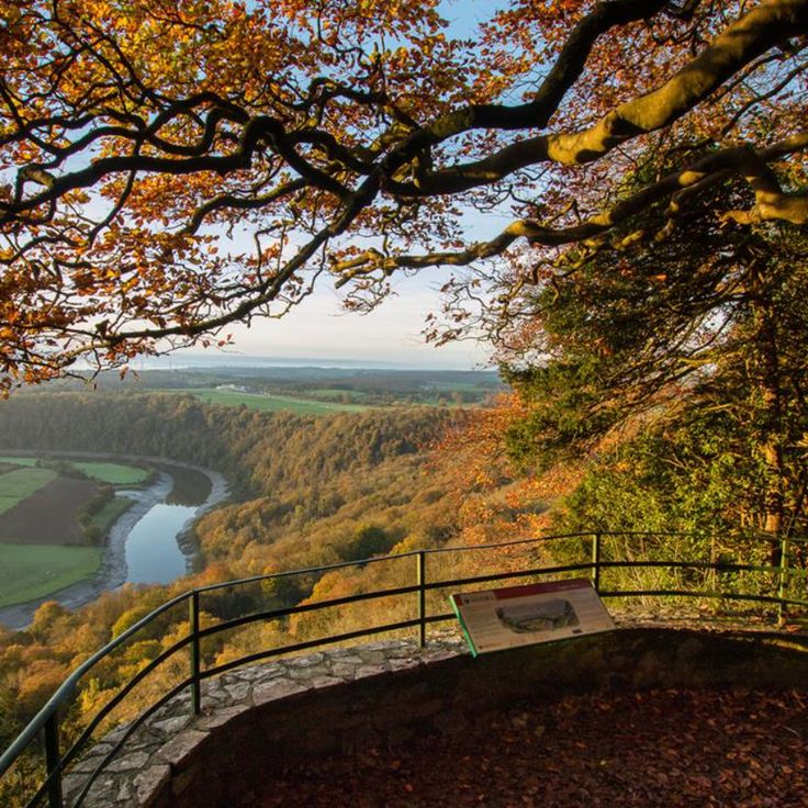 a bench on the side of a hill overlooking a river and trees with leaves around it