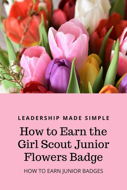 flowers in a vase with the words, how to earn the girl scout badge