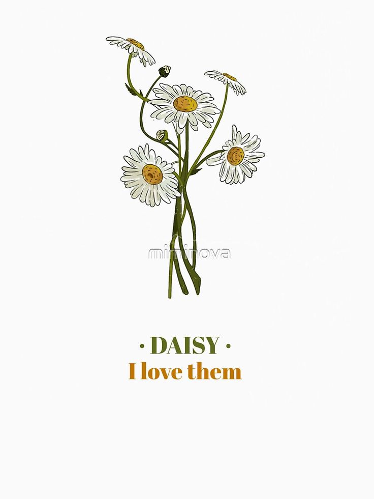 Daisy T Shirt Design, Affordable Daisy Print Graphic Tee, Casual T-shirt With Daisy Print For Spring, Trendy Daisy Print Short Sleeve T-shirt, Daisy Graphic, Daisy Shirt, Spring Daisy Print Short Sleeve T-shirt, Shirt Embroidery, Dolman Sleeve