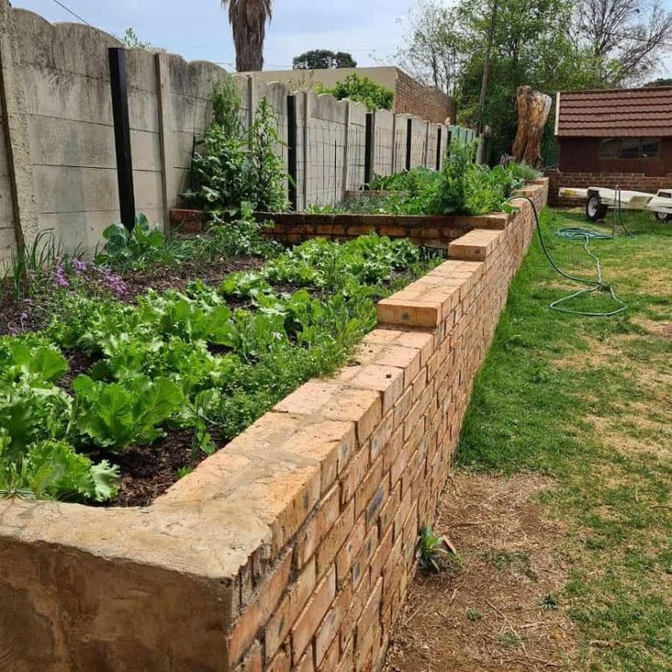 a brick garden wall with various plants growing in it